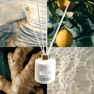 T-Homing I Diffuser Lemongrass & Ginger